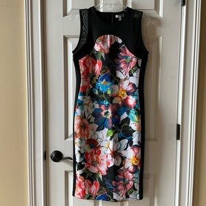 Grey & Gray Sleeveless Floral Sheath Dress - Black with Multicolor Bloom Size 8